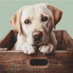 (image for) Lab in a Box